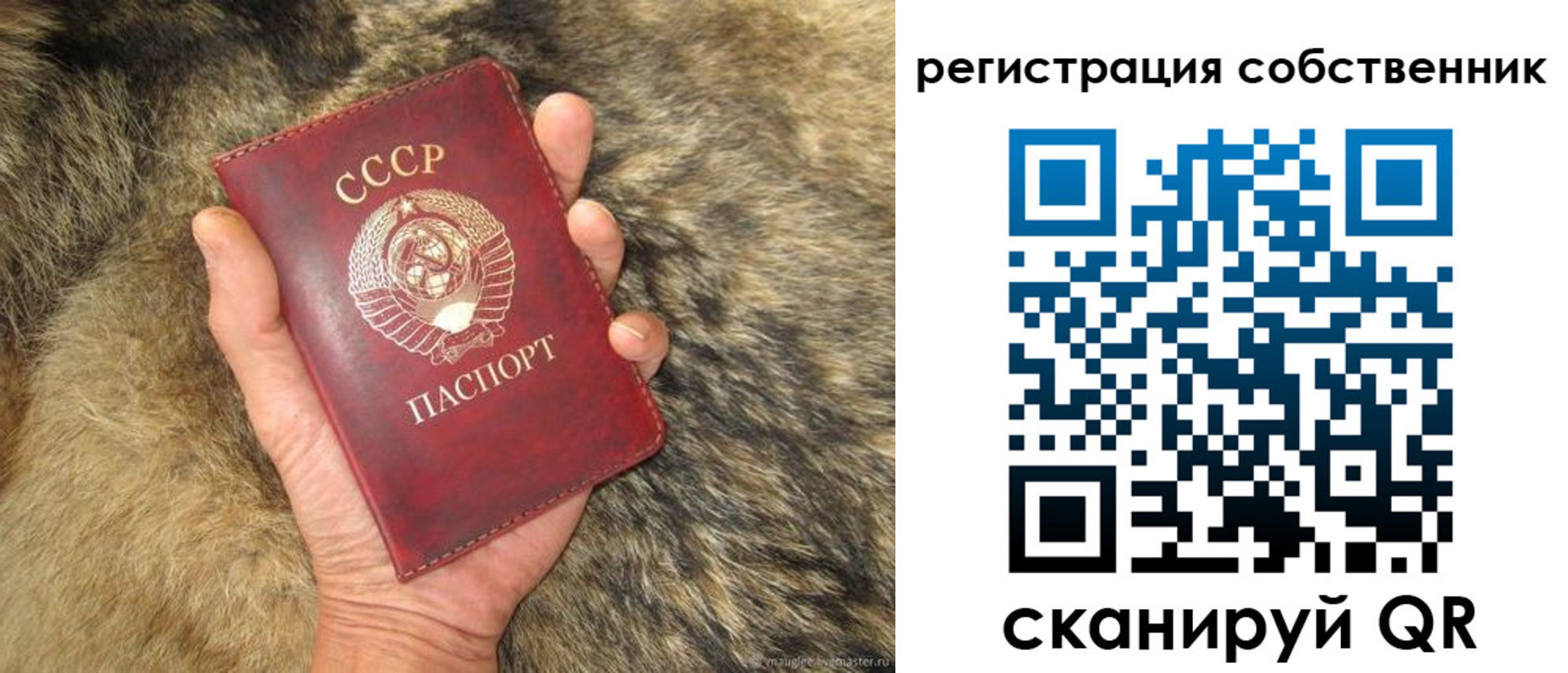 прописка 2025 в Мирном